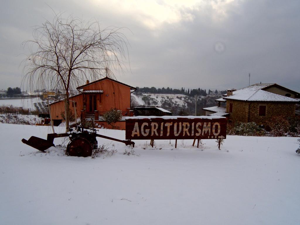 Villa Il Cerchio Delle Fate Torgiano Zimmer foto